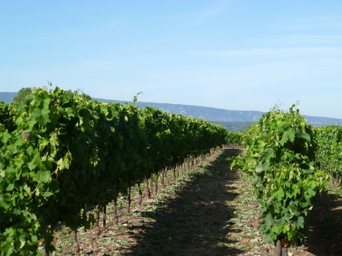 Le Luberon Villa Roussillon  Luaran gambar